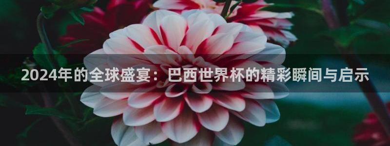 世界杯球队:2024年的全球盛宴:巴西世界杯的精彩瞬间与启示