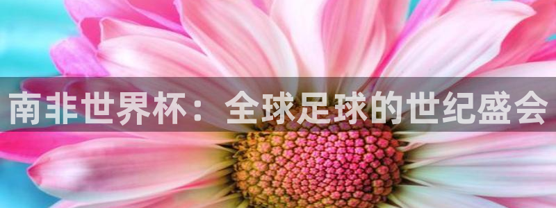 世界杯2026预选赛:南非世界杯:全球足球的世纪盛会