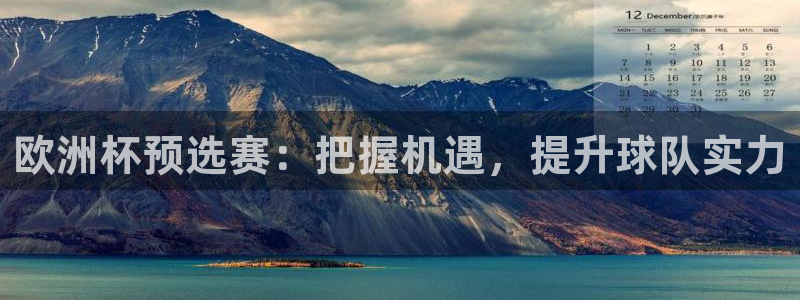 世界杯 中国:欧洲杯预选赛:把握机遇,提升球队实力