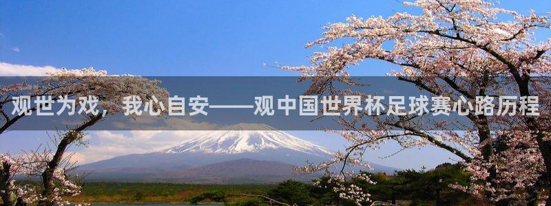 2026男足世界杯:观世为戏,我心自安——观中国世界杯足球赛心路历程